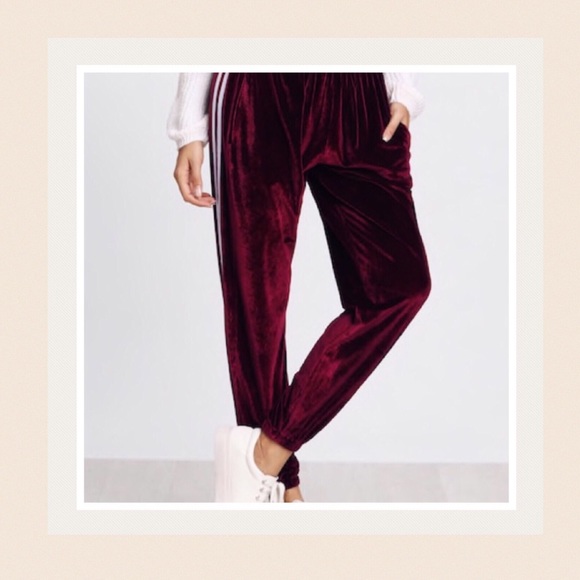 RUBI Velvet Joggers - Picture 4 of 5